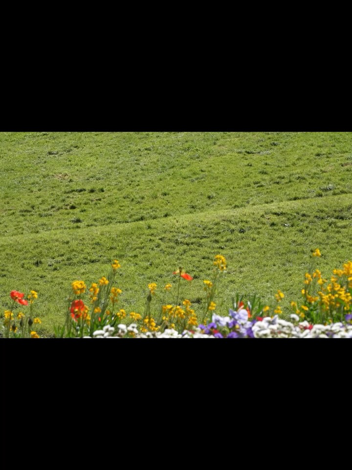 ¿Listos para salir? 🍃
¡Con Aptica @inglesinababy.spain, sí! Cada paseo es fluido y agradable gracias a sus ruedas con amortiguación y a su diseño espacioso, que te ofrece todo el espacio que necesitas para llevar lo esencial de tu bebé. Y con todo al alcance de la mano, siempre estás listo para salir. 🤍
Todo listo. ¡Nos vamos! ✨
...
#inglesina #inglesinababy #babywellness @aurelielouisalex